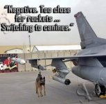 dogfight.jpg