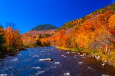 ADK-2740 small.jpg
