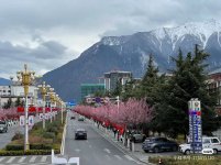 调整大小 微信图片_20231130165915.jpg