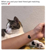 1739653532216.png