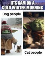 1739653726817.png