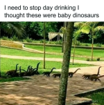 1739739978778.png