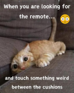 1739740098605.png