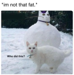 1739825839141.png