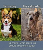 1739825910521.png