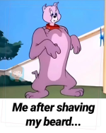 1739826727090.png