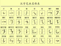 1739827589124.webp
