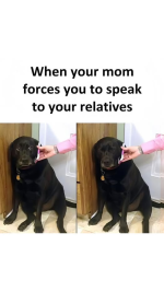 1739911338734.png
