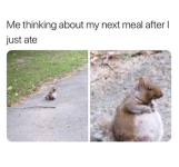 1739911502505.png