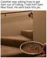 1739912364846.png