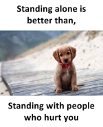 1740002205658.png