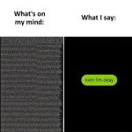 1740002286456.png