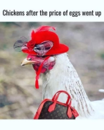 1740002399665.png