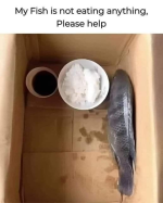 1740002509308.png