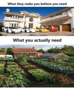 1740002642659.png