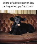 1740002804741.png
