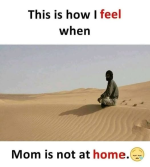 1740082766628.png