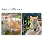 1740083115958.png