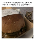 1740083263700.png