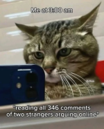 1740083333298.png