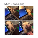 1740083494772.png