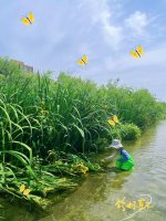 北京南四环宝藏遛娃地，可玩水捞鱼，可露营！_1_懵小圈_来自小红书网页版.jpg