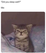 1740175354373.png