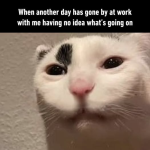 1740175658534.png