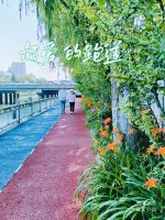 这条二环边跑道，有水有花，有小确幸_1_复查维尼_来自小红书网页版.jpg