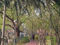4.6北京南长河公园，记录春天🌸_10_桃包子YX_来自小红书网页版.jpg