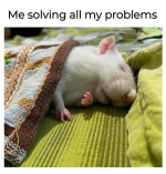 1740272884463.png