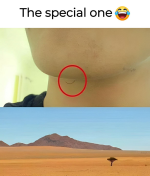 1740272972609.png