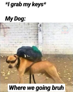 1740349566300.png