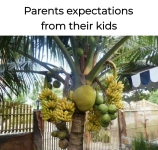 1740349633638.png