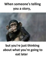 1740349660876.png