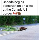 1740390952756.jpeg