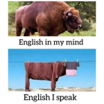 1740435601554.png