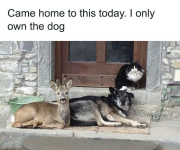 1740437334473.png