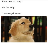 1740437694995.png