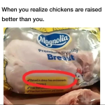 1740520994055.png
