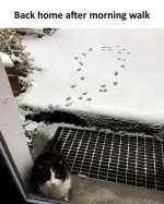 1740523100647.png