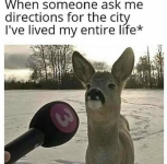 1740692082547.png