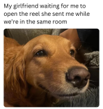 1740776401652.png