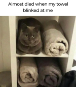 1740776494478.png