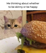 1740783785319.png