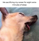 1740783885783.png