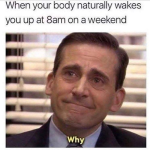 1740863107412.png