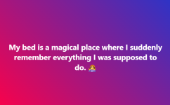 1740870839571.png