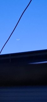IMG-20250301-WA0033.jpg
