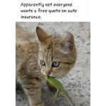 1740943691580.png